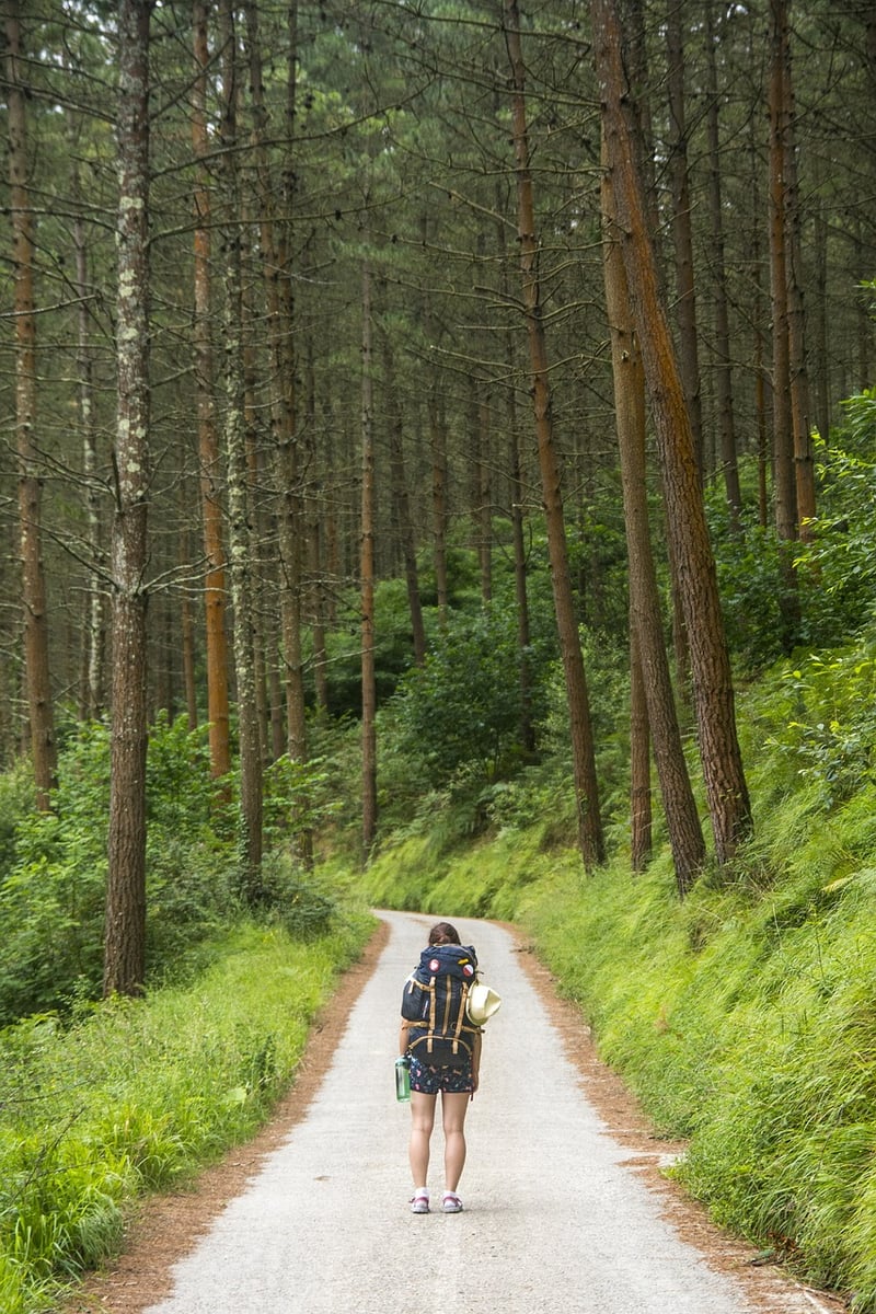 Travelers